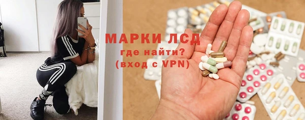 apvp Алексин