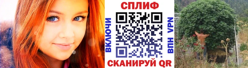 Каннабис SATIVA & INDICA  наркота  Ижевск 